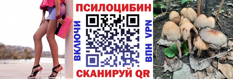 Галлюциногенные грибы Psilocybe Купить Мамадыш